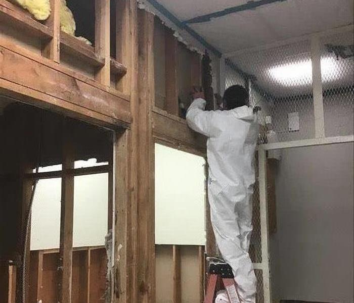 Mold removal on site